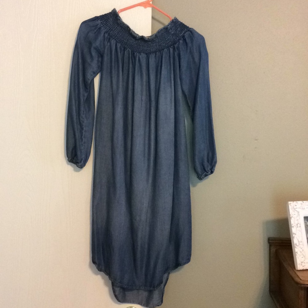 Isabel Maternity denim dress